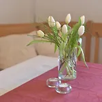 Ambiente דירה *
